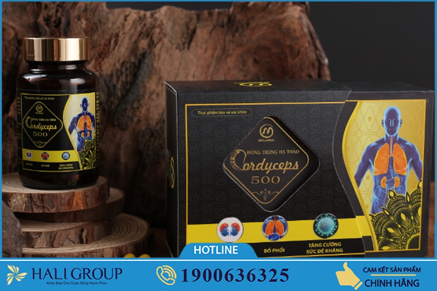 Viên Nang Đông Trùng Hạ Thảo Cordyceps 500 - sản phẩm tuyệt vời cho sức khỏe của bạn