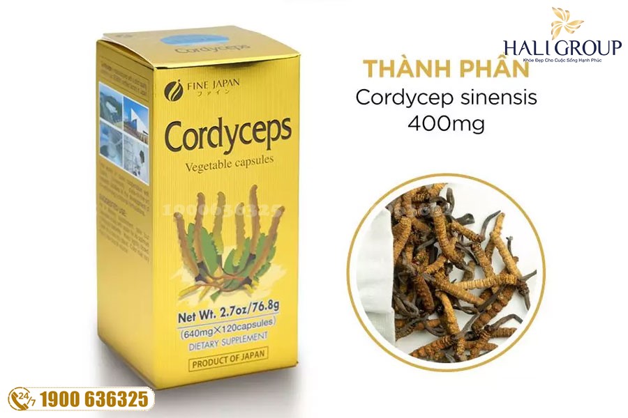 Đại lý phân phối Cordyceps Fine Japan trên toàn quốc