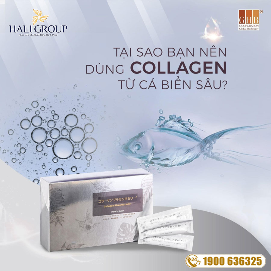 Một số câu nghi vấn thường gặp khi mua Thạch Collagen Placenta Jelly GHB